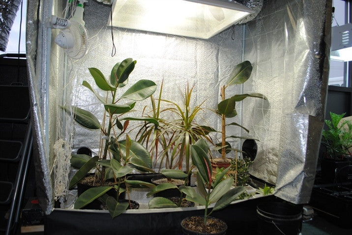 Indoor Greenhouse