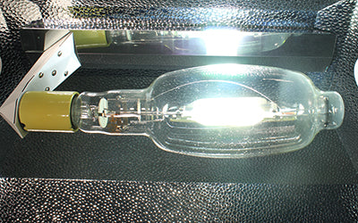 Metal Halide Bulbs