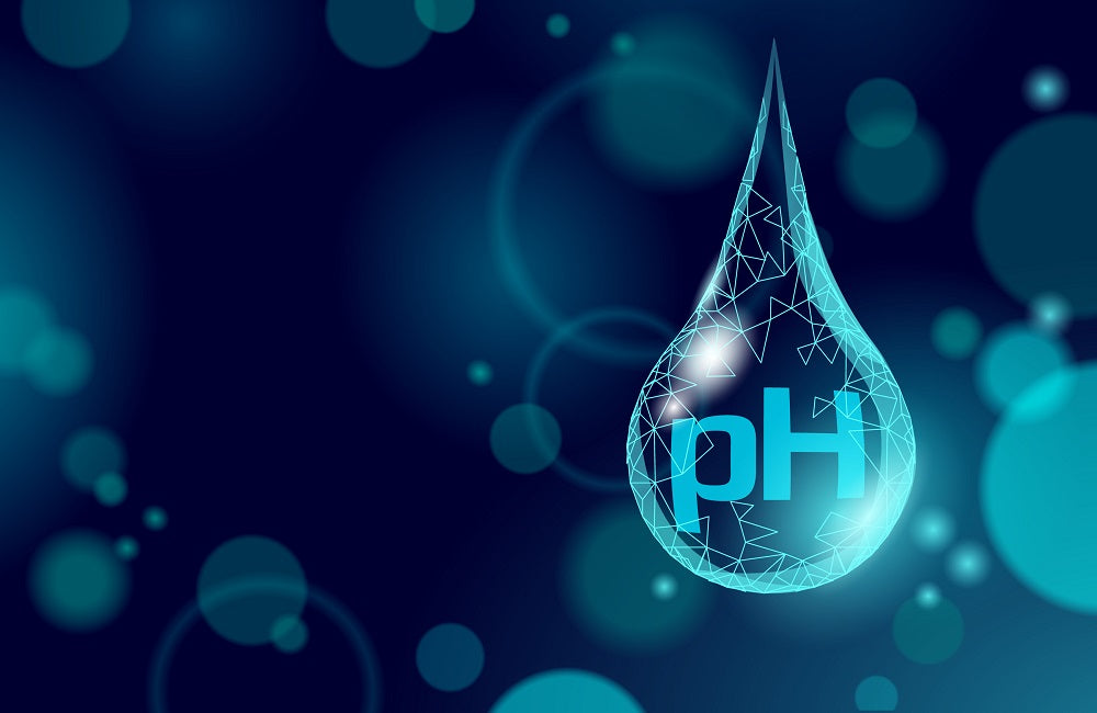 pH / TDS / EC Meters