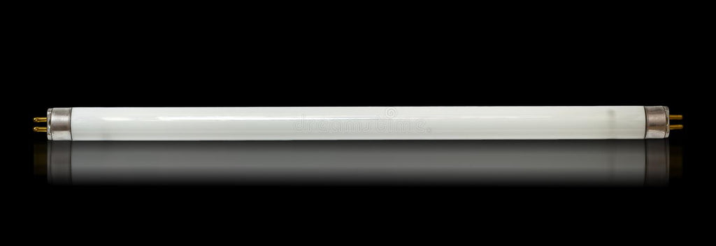 T5 Lighting