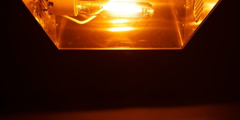 HPS Bulbs