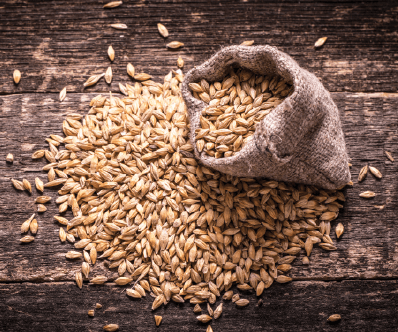 brews grain for homebrewing