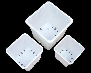 Premium White Pots
