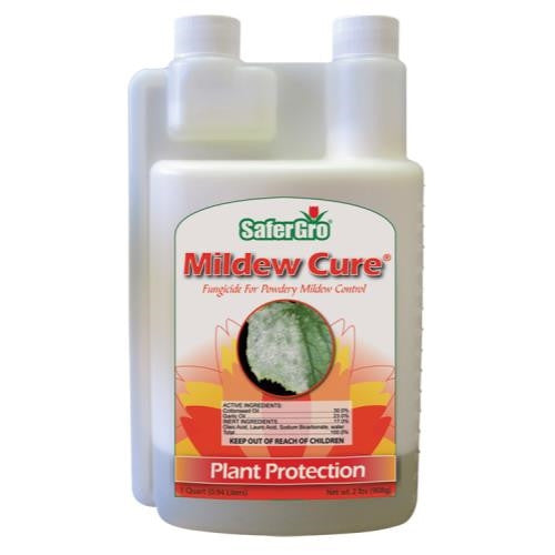 Mildew Cure