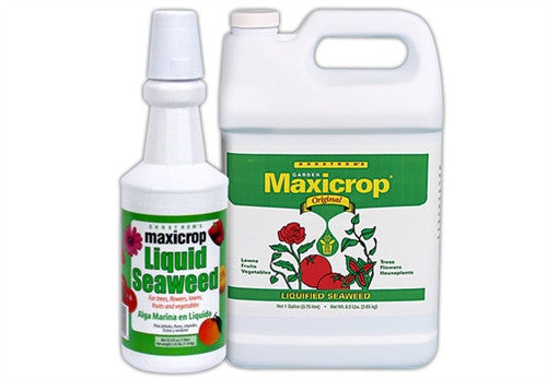 Maxicrop Original Liquid Seaweed