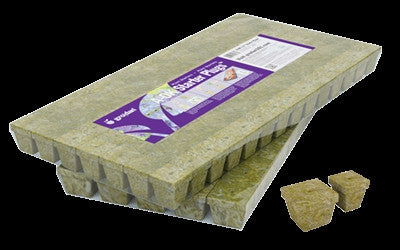 Grodan A-OK 36/40 6/15 Starter Cubes - Thumbnail 4