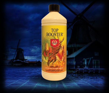 H&G Top Booster