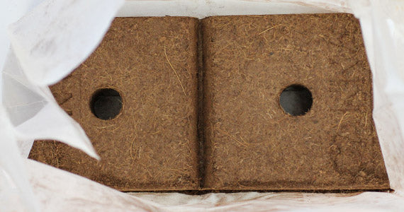 Canna Gardening Coco Brick - Thumbnail 2